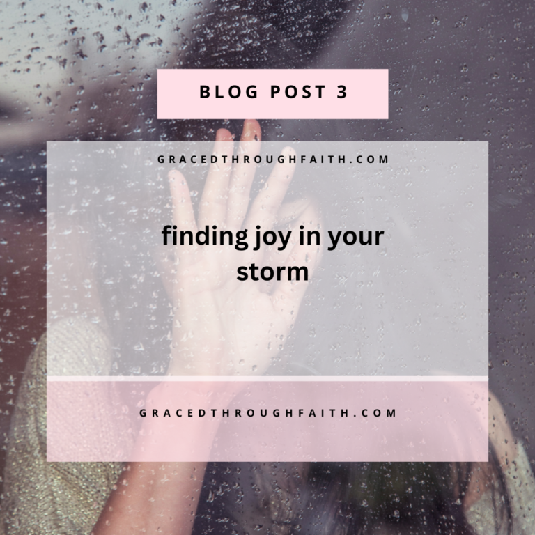 Finding Joy In Your Storm